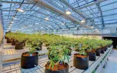 Greenhouse sells for $13.5 million